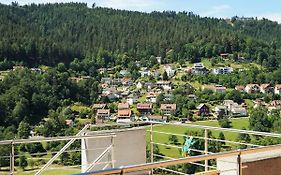 Wildbadferien De